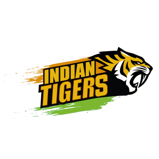 Indian tigers